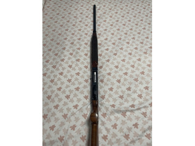 Escopeta Benelli Belmonte II