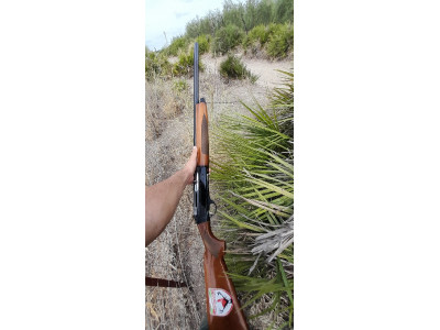 Escopeta Benelli premiu