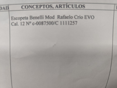 Escopeta benelli rafaelo crio evo nogal calibre 12