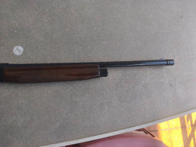Escopeta Benelli SL-125