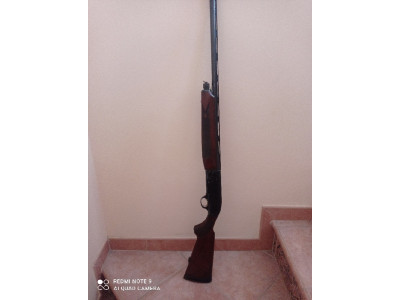 Escopeta Beretta 303(sevilla)