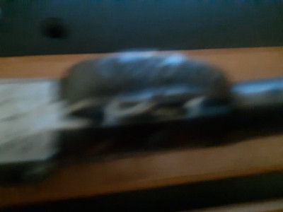 Escopeta de alta gama