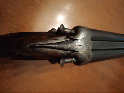 Escopeta de perrillos