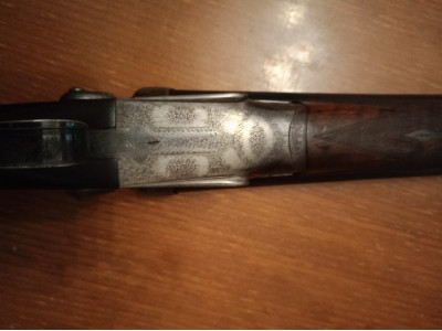 Escopeta de perrillos