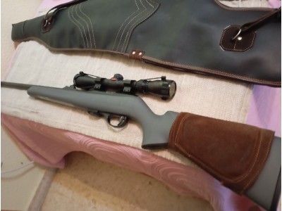 Escopeta del 12 y Rifle del 22
