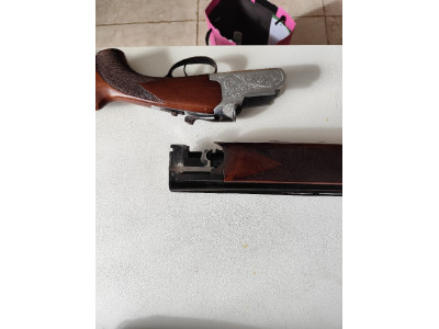 Escopeta lamber súperpuesta