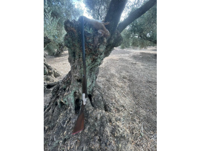 escopeta paralela aya 53 del año 1968