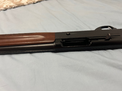 Escopeta repetidora benelli belmonte 1