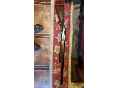 Escopeta Repetidora Beretta A300