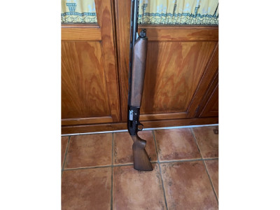 Escopeta repetidora beretta 302