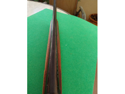 Escopeta repitidora calibre 20