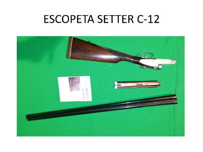 Escopeta Setter BA calibre 12