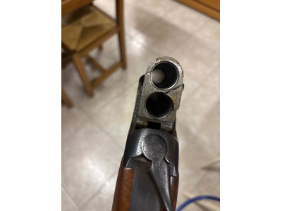 Escopeta súper puesta ZH