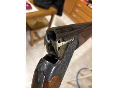 Escopeta súper puesta ZH