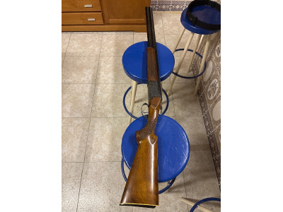 Escopeta súper puesta ZH