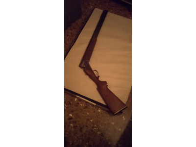 ESCOPETA SÚPER PUESTS