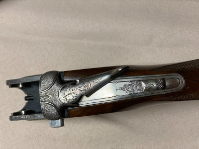 Superpuesta Francisco Sarriugarte FS300