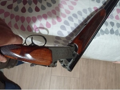 Escopeta superpuesta Franchi Alcione lujo, edición limitada,