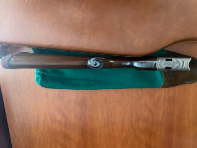 Escopeta superpuesta Gamba