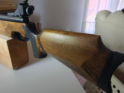 Feinwerkbau 300S Impoluta