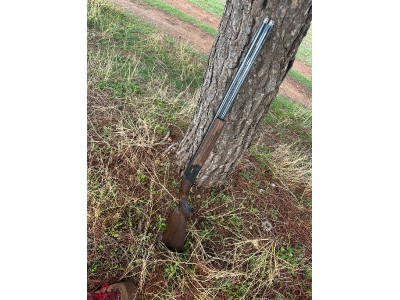 Franchi feeling Sporting 71cm 12g