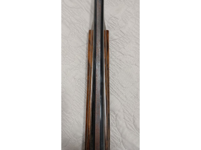 Franchi raptor inertia