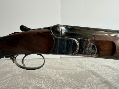 GAMBA GARDONE V.T SUPERPUESTA