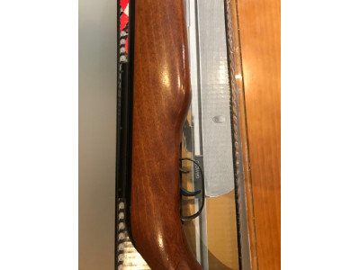 Carabina Gamo CFX Royal 4.5