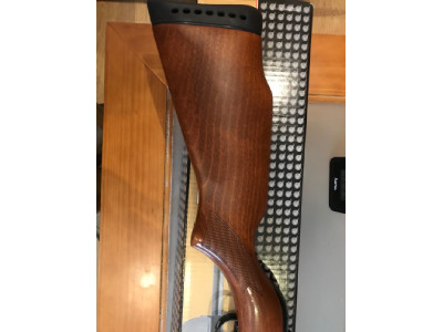 Gamo CFX Royal Carabina