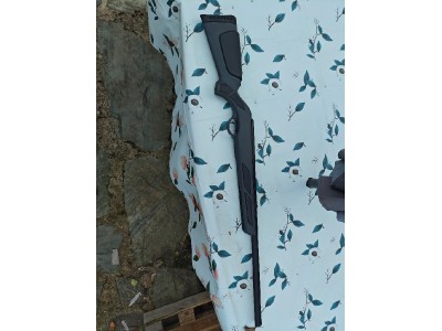 Gamo Viper express 5,5