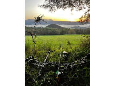 Hoyt alpha x 33+ accesorios