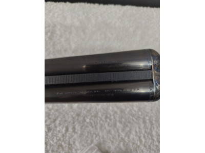 Ignacio ugartechea impoluta