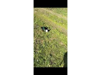 Jaula Lanzadera Canifly