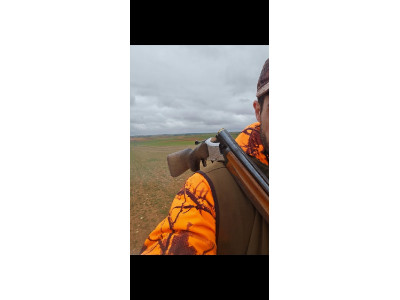 Laurona 12 Superpuesta 1☆ 2☆