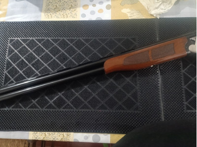 Laurona evanor caza  superpuesta