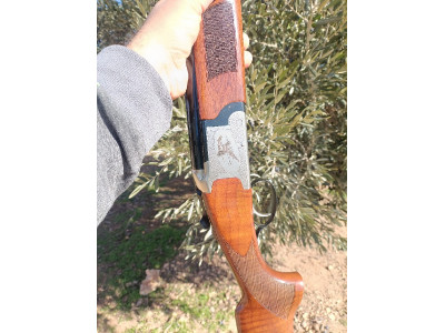 Laurona evanor caza  superpuesta