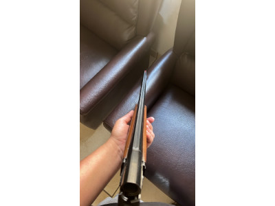 Laurona Trap Escopeta