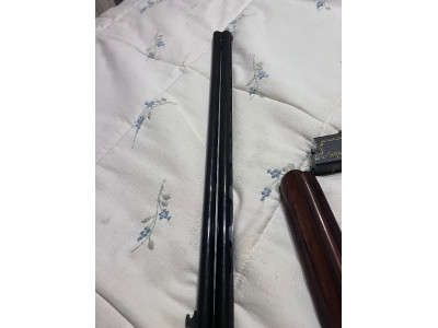 Laurona Trap Escopeta