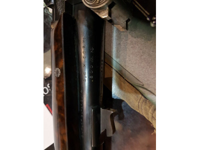 Ludwig Borovnik Ferlach Rifle Express