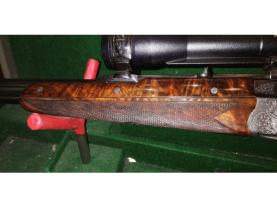 Ludwig Borovnik Ferlach Rifle Express