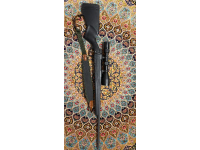 Steyr Mannlicher 30-06