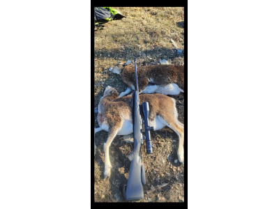 Mauser M12 Extreme y Visor Zeiss V8 4,8-35-60