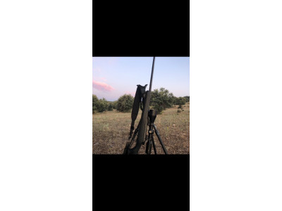 Mauser M18 calibre 300 win magnun