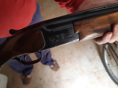 Miroku superpuesta de 2 y 1