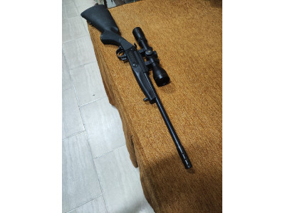 Monotiro ardesa 17 HMR