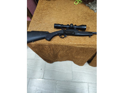 Monotiro ardesa 17 HMR