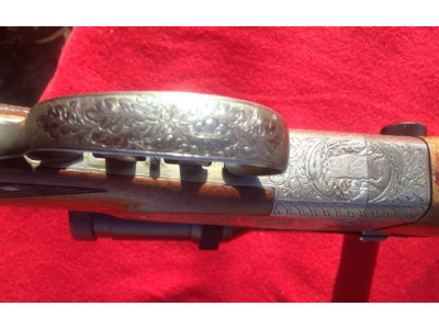 Monotiro Austriaco Pfeifer y Visor Z6