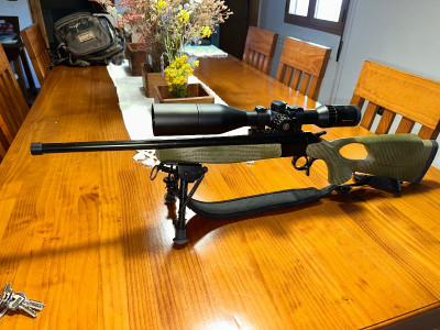 Monotiro Bergara 308 win