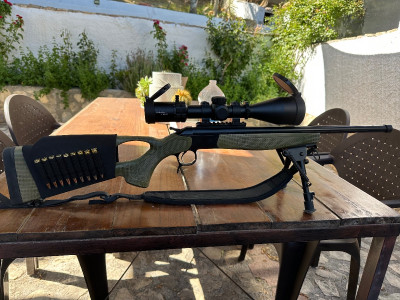 Monotiro Bergara 308 win