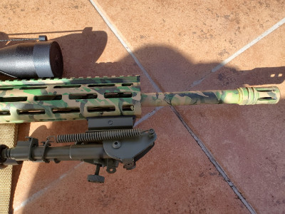 M&P 15-22 rifle semiautomática 22 LR